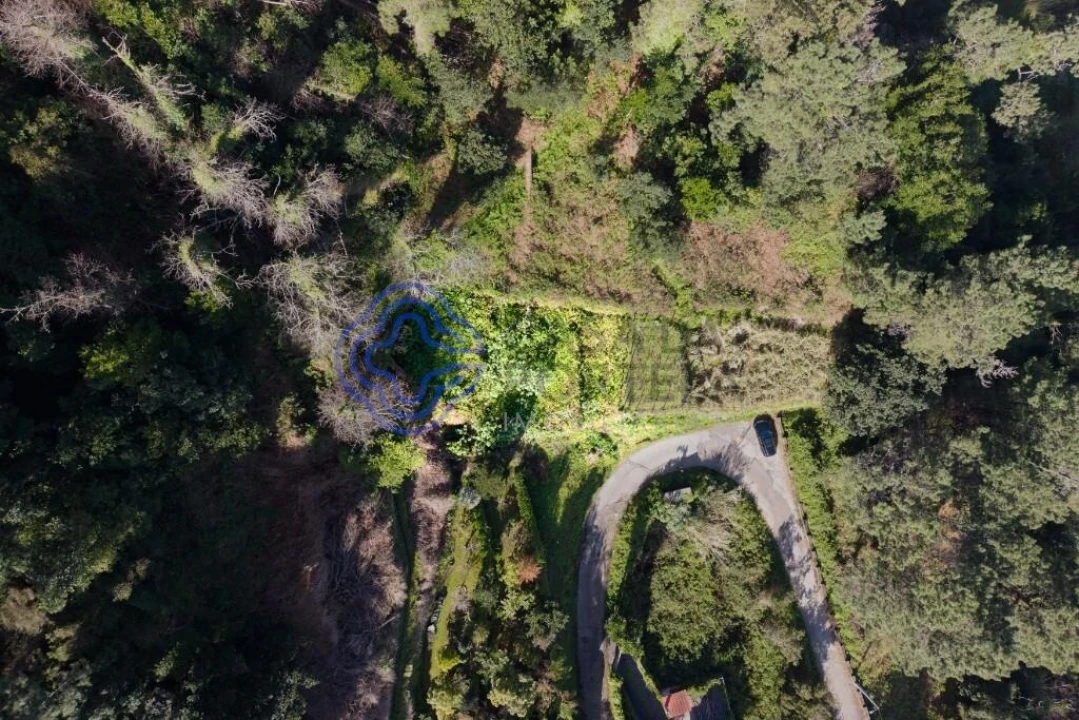Terreno para Venda em São Vicente Foto 5