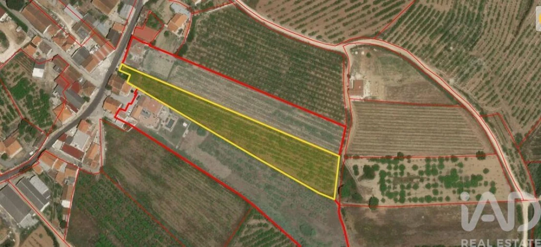 Moradia para Venda em Carvalhal Foto 6