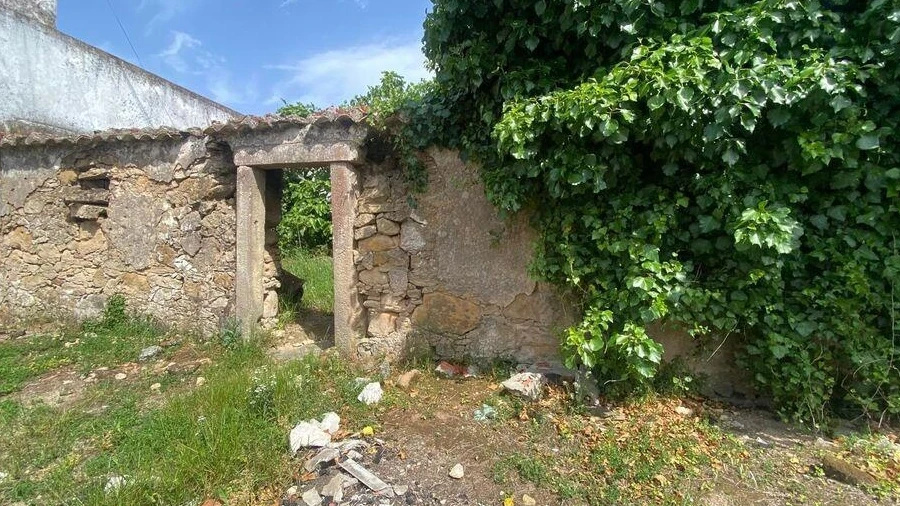 Moradia para Venda em Carvalhal