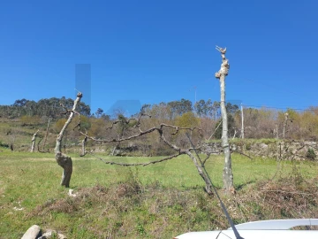 Terreno para Venda em Rio Douro