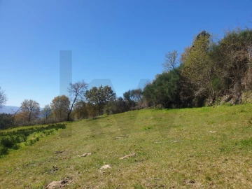Terreno para Venda em Rio Douro