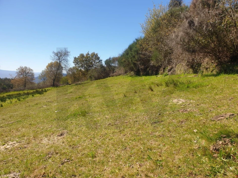 Terreno para Venda em Rio Douro Foto 10