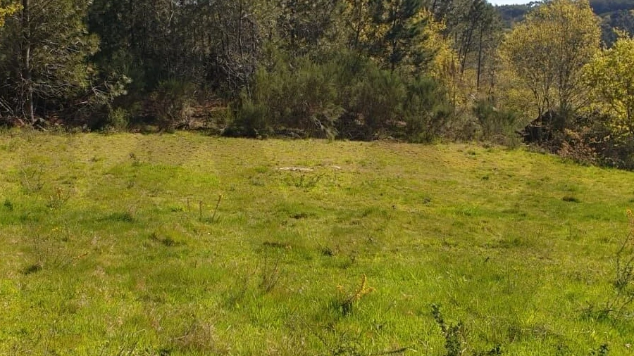 Terreno para Venda em Rio Douro