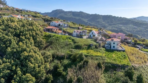 Moradia T1 para Venda em Ribeira Brava
