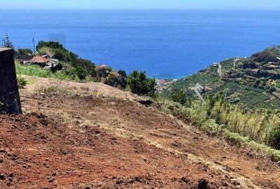 Moradia T1 para Venda em Ribeira Brava