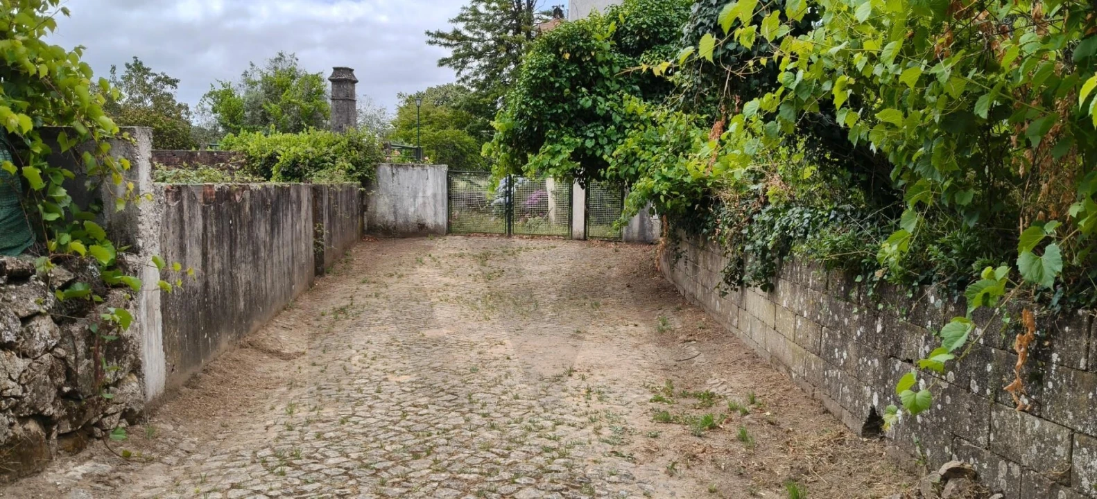 Terreno para Venda em Figueiró dos Vinhos e Bairradas Foto 11