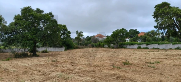Terreno para Venda em Figueiró dos Vinhos e Bairradas