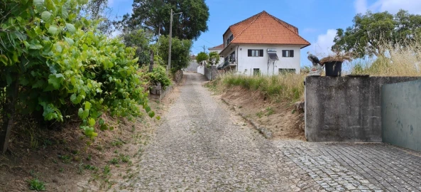 Terreno para Venda em Figueiró dos Vinhos e Bairradas