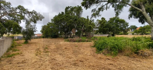 Terreno para Venda em Figueiró dos Vinhos e Bairradas