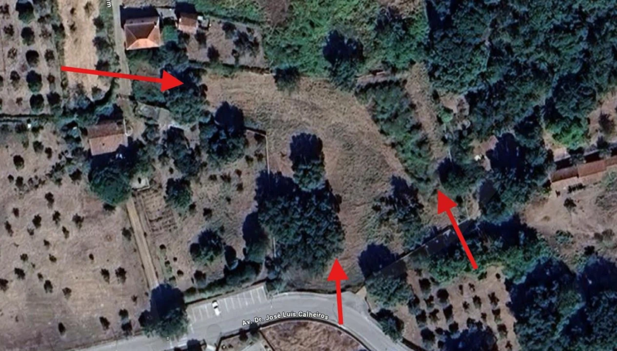 Terreno para Venda em Figueiró dos Vinhos e Bairradas Foto 3