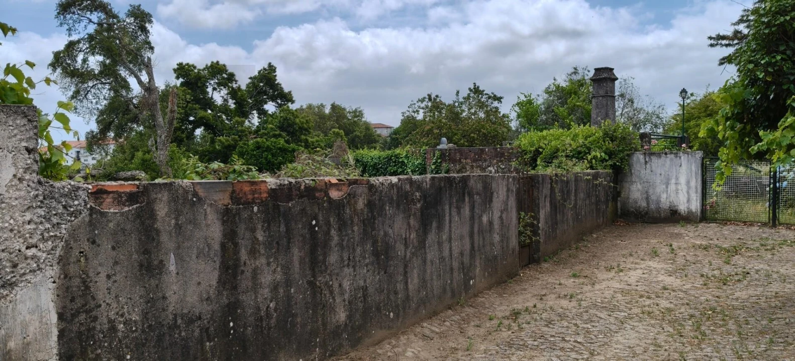 Terreno para Venda em Figueiró dos Vinhos e Bairradas Foto 12