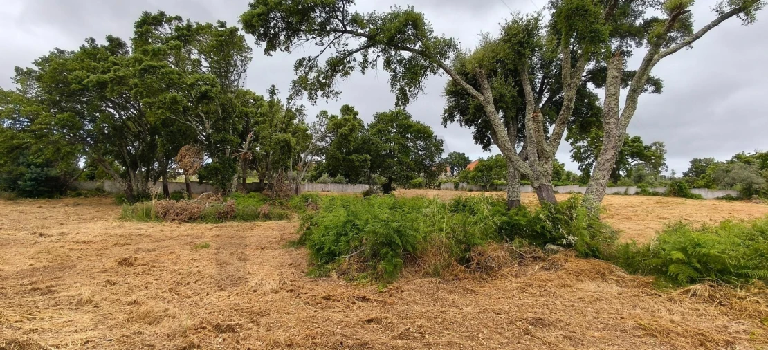 Terreno para Venda em Figueiró dos Vinhos e Bairradas Foto 4