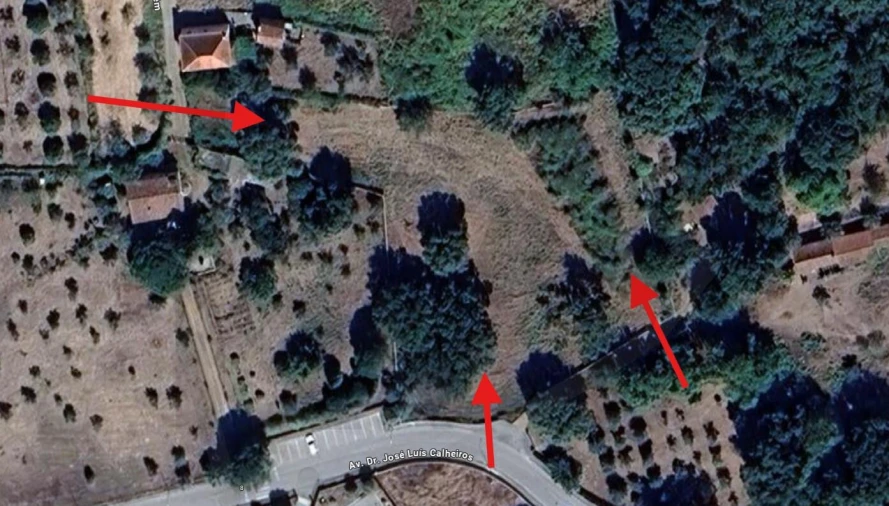 Terreno para Venda em Figueiró dos Vinhos e Bairradas Foto 3