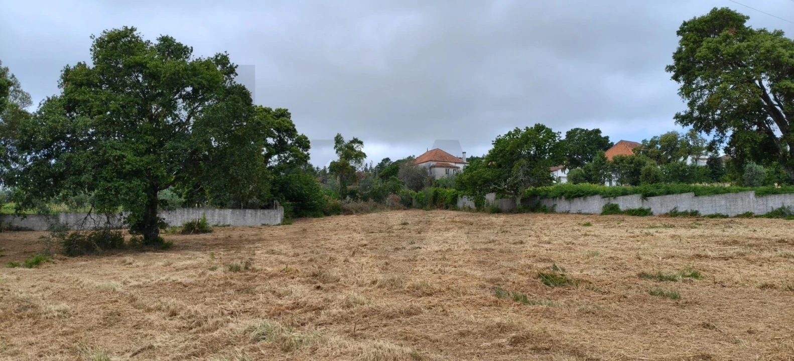 Terreno para Venda em Figueiró dos Vinhos e Bairradas Foto 8
