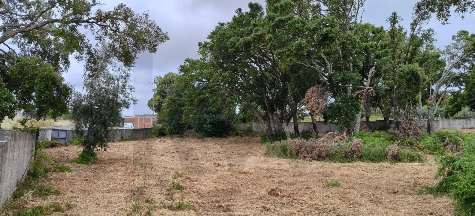 Terreno para Venda em Figueiró dos Vinhos e Bairradas Foto 6