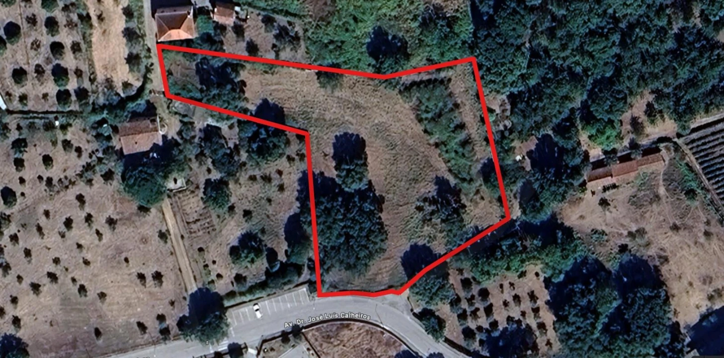 Terreno para Venda em Figueiró dos Vinhos e Bairradas Foto 1
