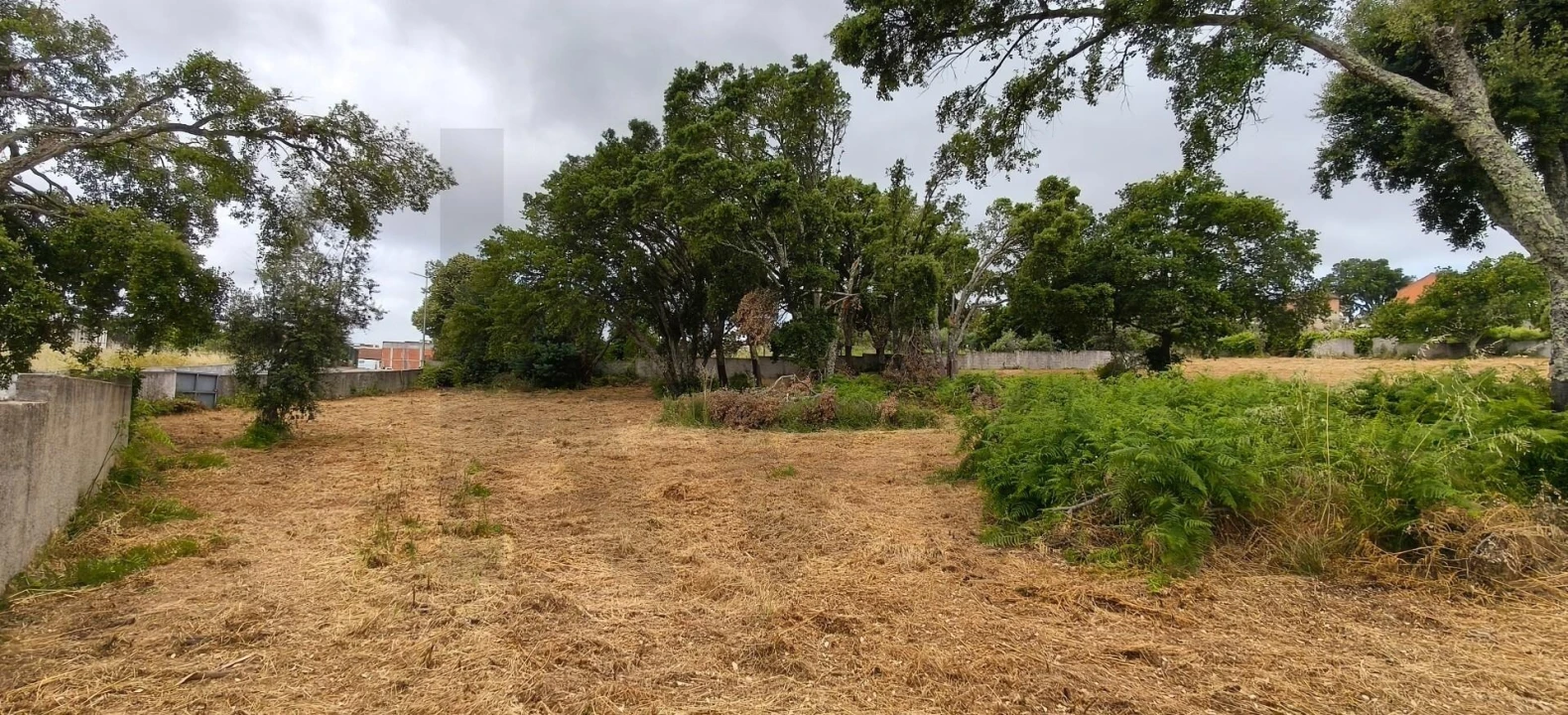 Terreno para Venda em Figueiró dos Vinhos e Bairradas Foto 5