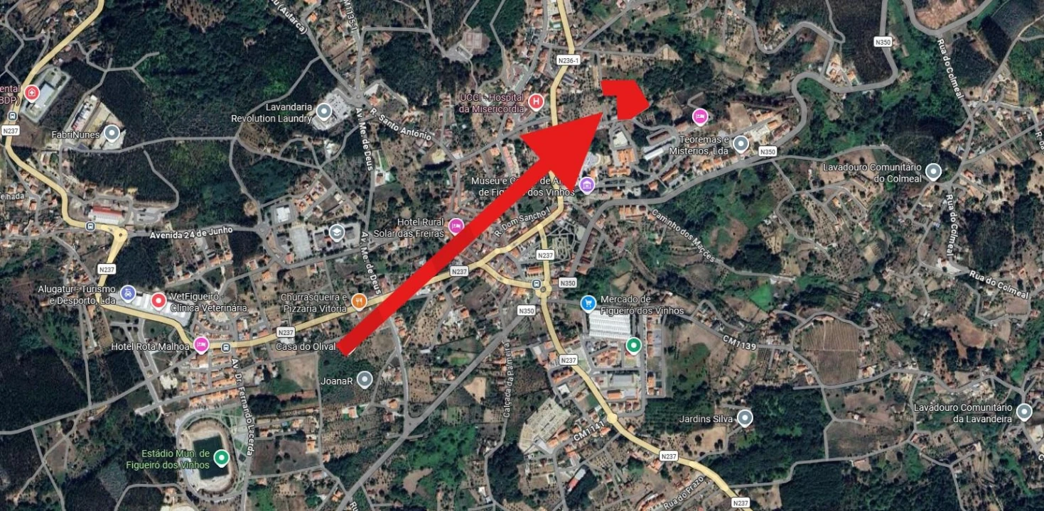 Terreno para Venda em Figueiró dos Vinhos e Bairradas Foto 2
