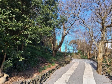 Terreno para Venda em Madalena