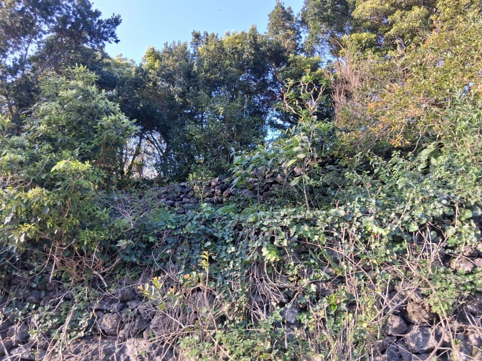 Terreno para Venda em Madalena Foto 4