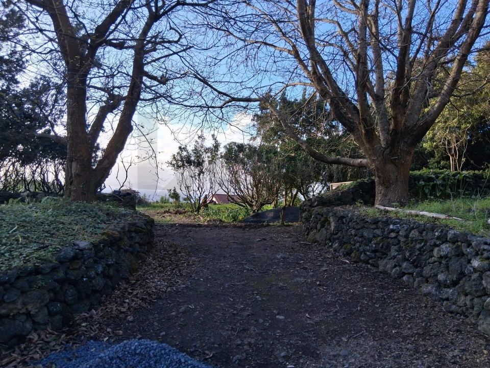 Terreno para Venda em Madalena Foto 3