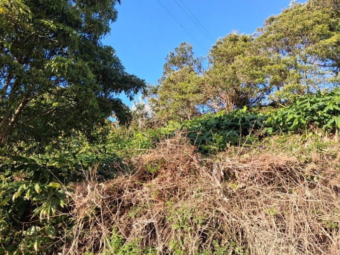 Terreno para Venda em Madalena Foto 5