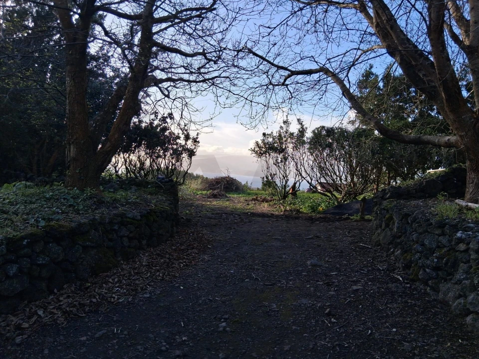 Terreno para Venda em Madalena Foto 2