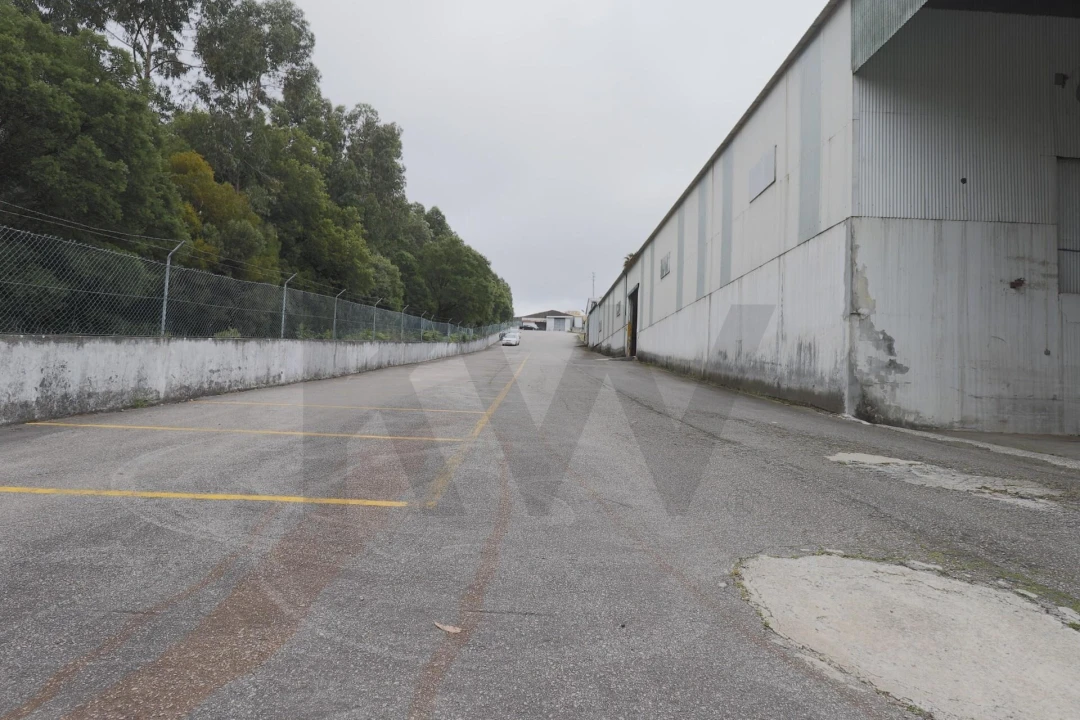 Armazém para Arrendamento em Lourosa Foto 16
