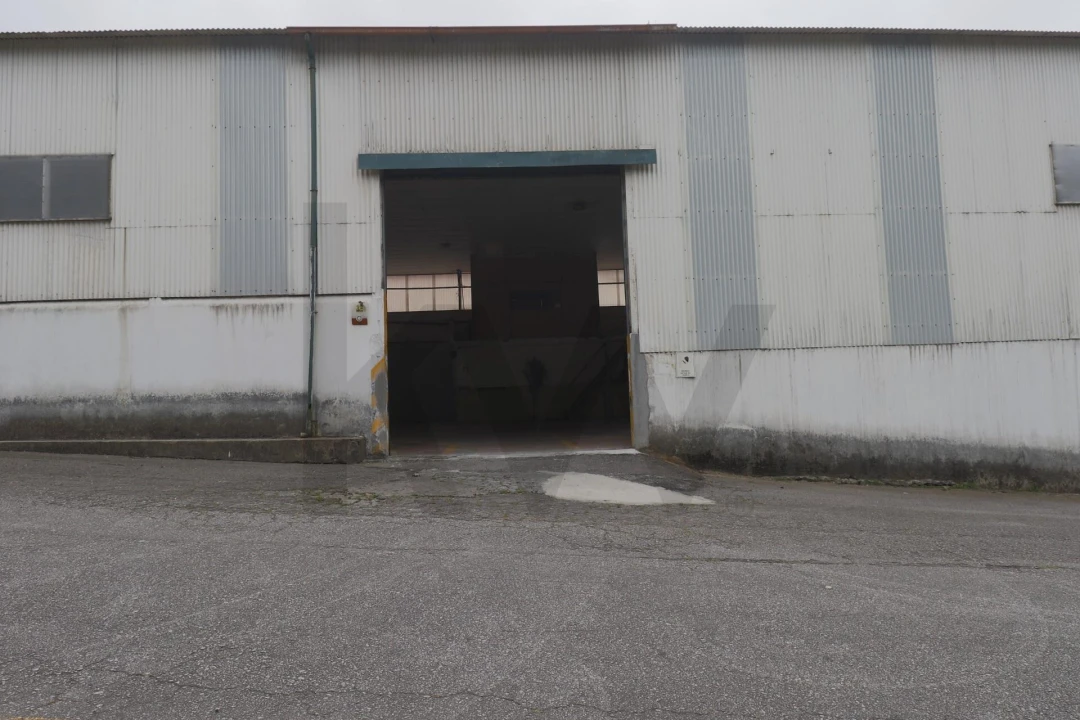 Armazém para Arrendamento em Lourosa Foto 14