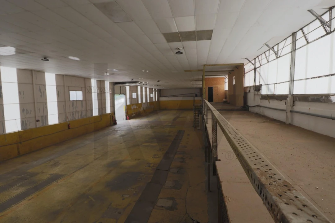 Armazém para Arrendamento em Lourosa Foto 5