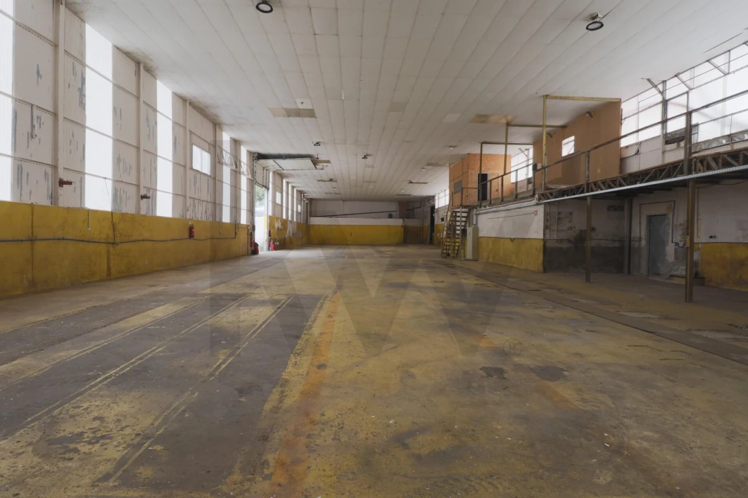 Armazém para Arrendamento em Lourosa Foto 3