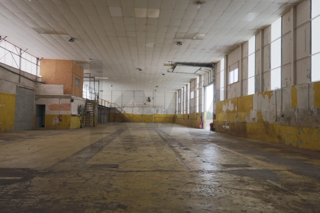 Armazém para Arrendamento em Lourosa Foto 4