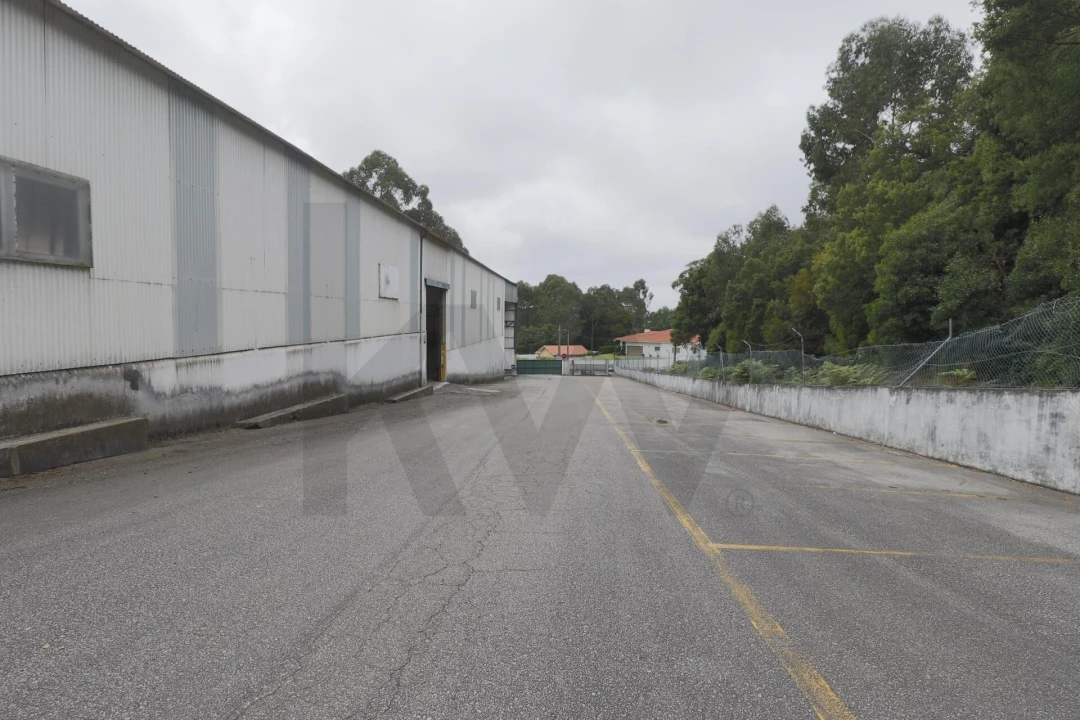 Armazém para Arrendamento em Lourosa Foto 1