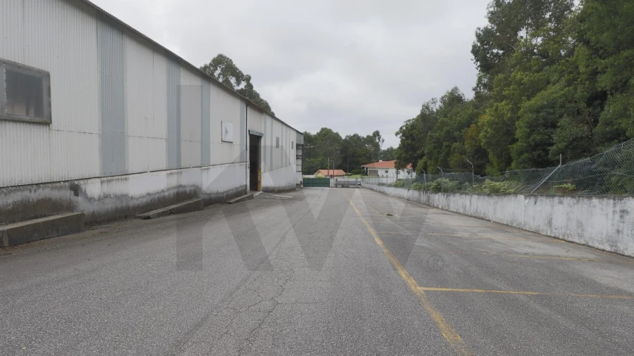 Armazém para Arrendamento em Lourosa