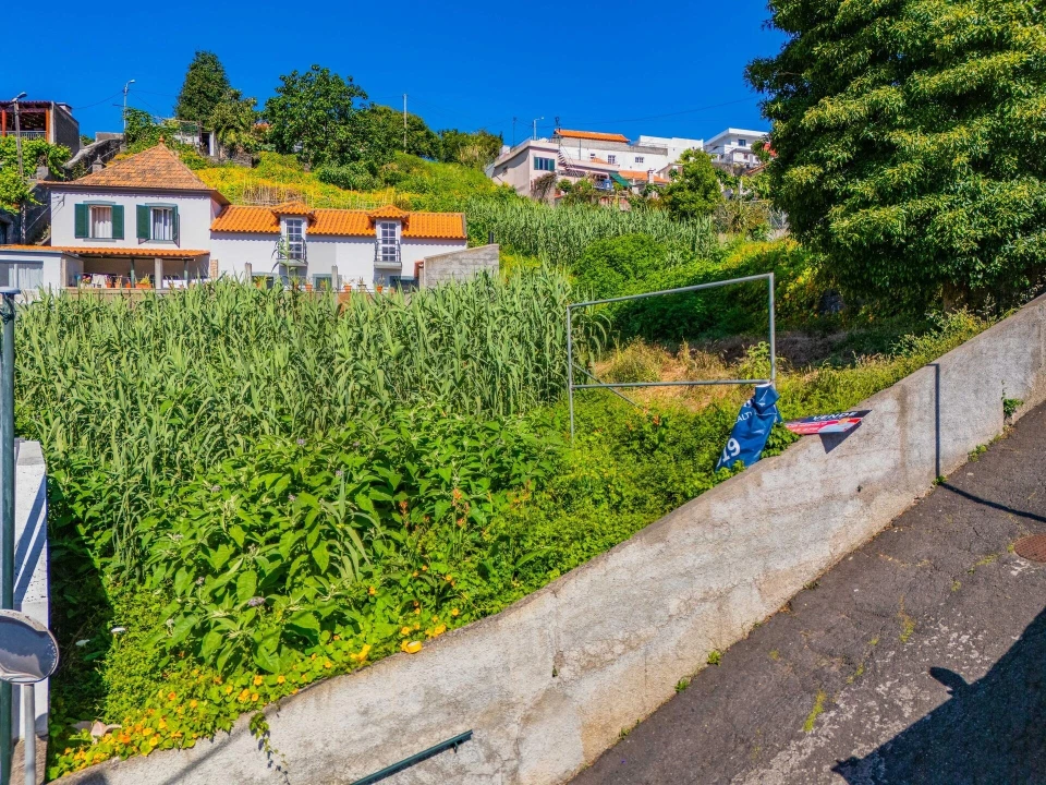 Terreno para Venda em Santo Antonio Foto 21