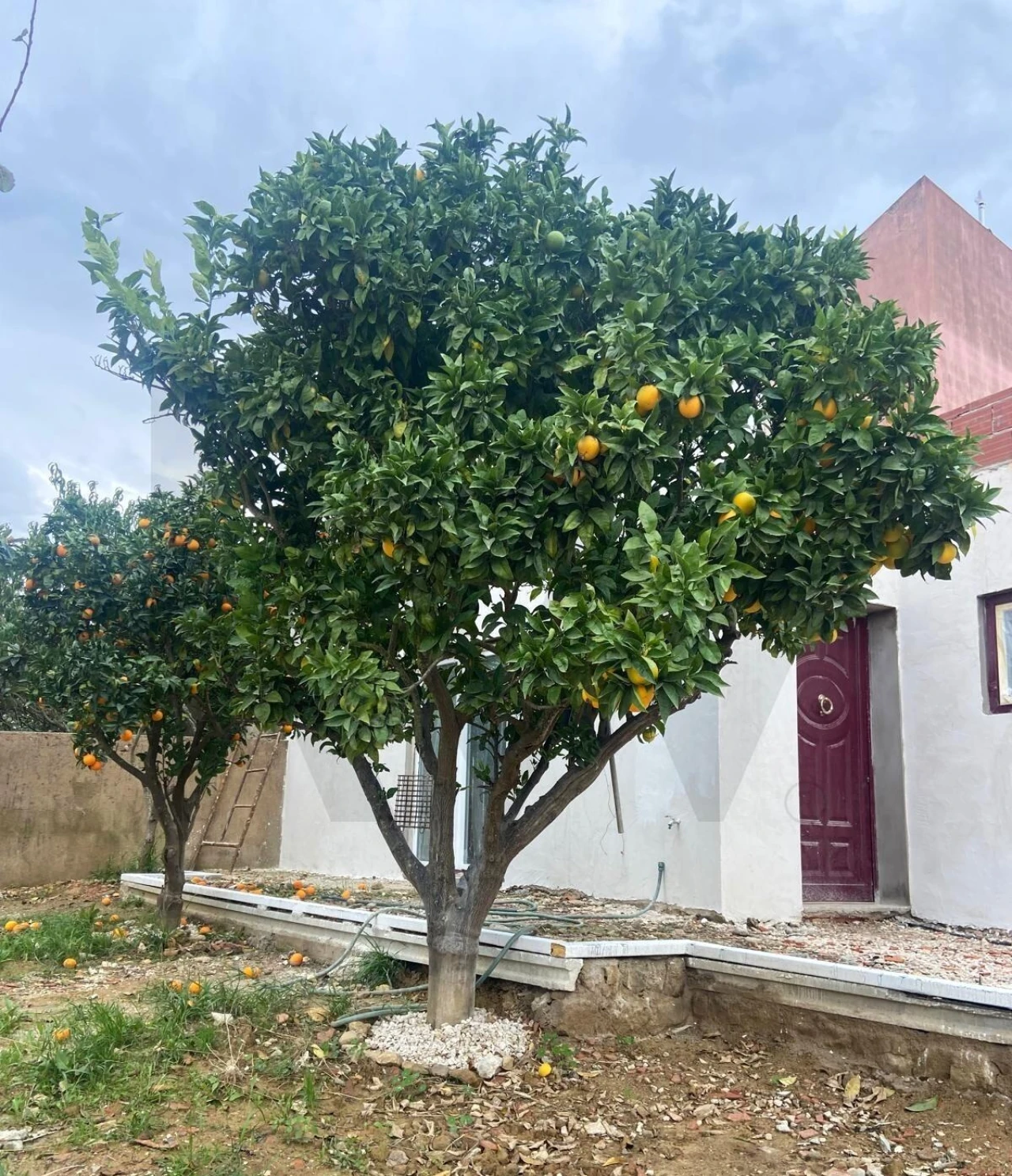 Moradia T2 para Venda em Ventosa Foto 8
