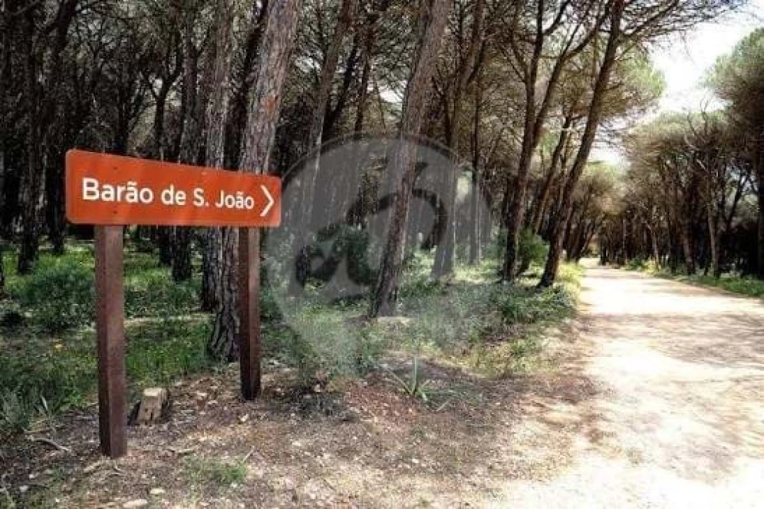 Terreno para Venda em Lagos (São Sebastião e Santa Maria) Foto 7