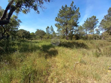Terreno para Venda em Lagos (São Sebastião e Santa Maria)