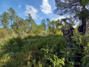 Terreno para Venda em Lagos (São Sebastião e Santa Maria)