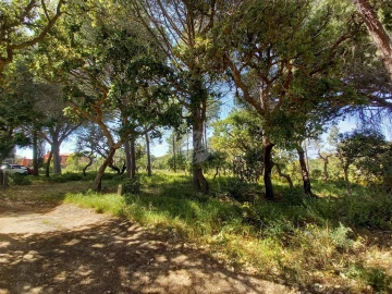 Terreno para Venda em Lagos (São Sebastião e Santa Maria)