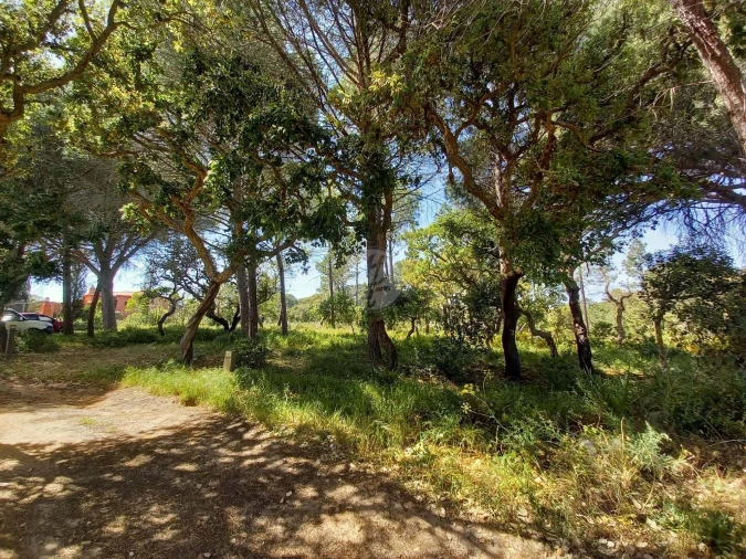 Terreno para Venda em Lagos (São Sebastião e Santa Maria) Foto 5