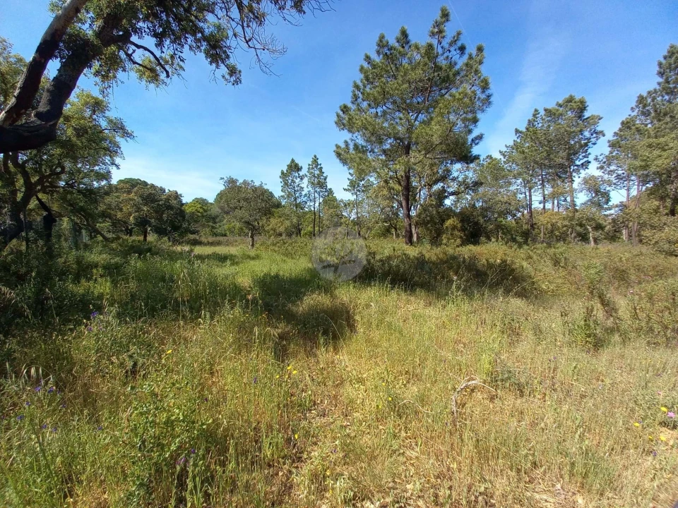 Terreno para Venda em Lagos (São Sebastião e Santa Maria) Foto 1