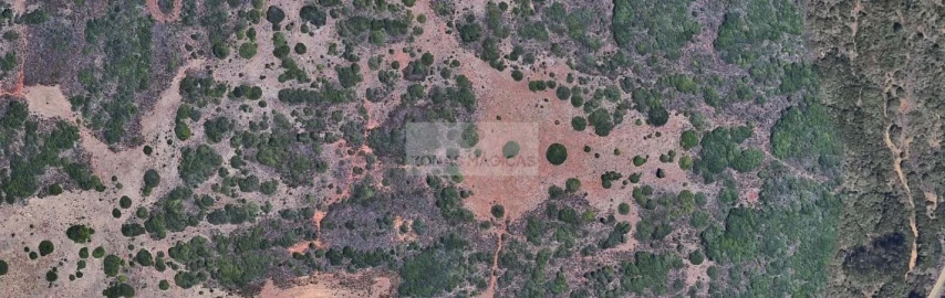 Terreno para Venda em Vila do Bispo e Raposeira