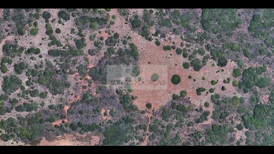 Terreno para Venda em Vila do Bispo e Raposeira