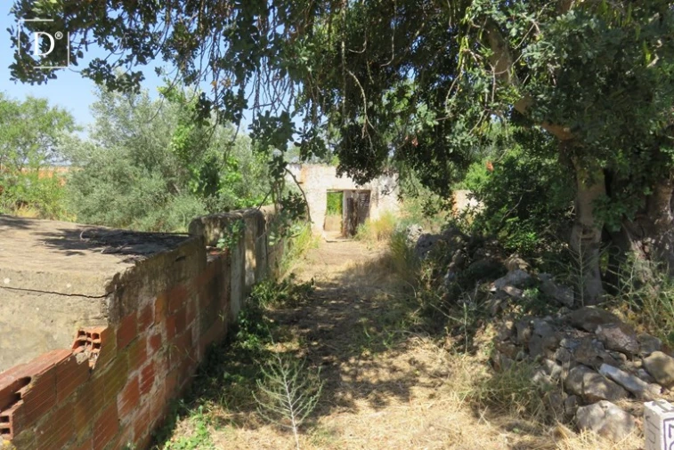 Moradia T1 para Venda em Loule (São Clemente) Foto 37
