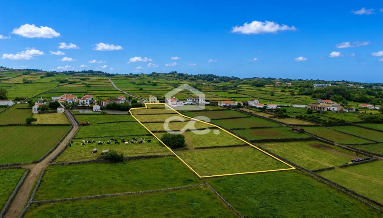 Terreno para Venda em Cinco Ribeiras Foto 4
