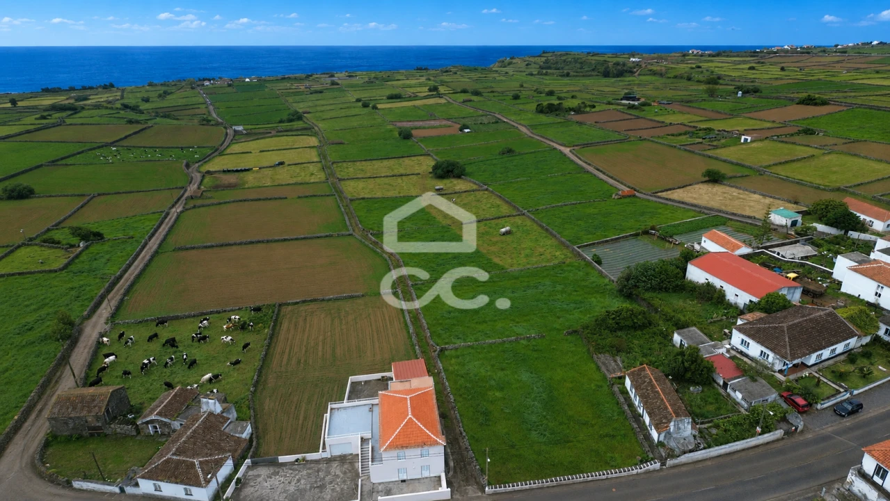 Terreno para Venda em Cinco Ribeiras Foto 3