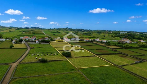 Terreno para Venda em Cinco Ribeiras