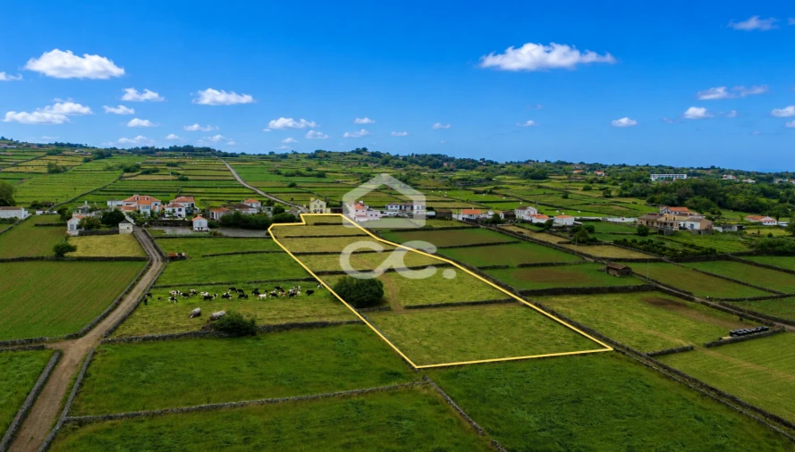 Terreno para Venda em Cinco Ribeiras Foto 4
