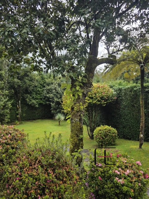 Moradia T3 para Venda em Santana